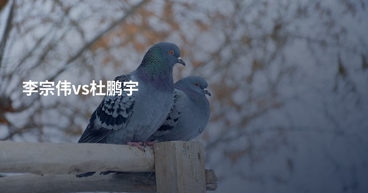 李宗伟vs杜鹏宇