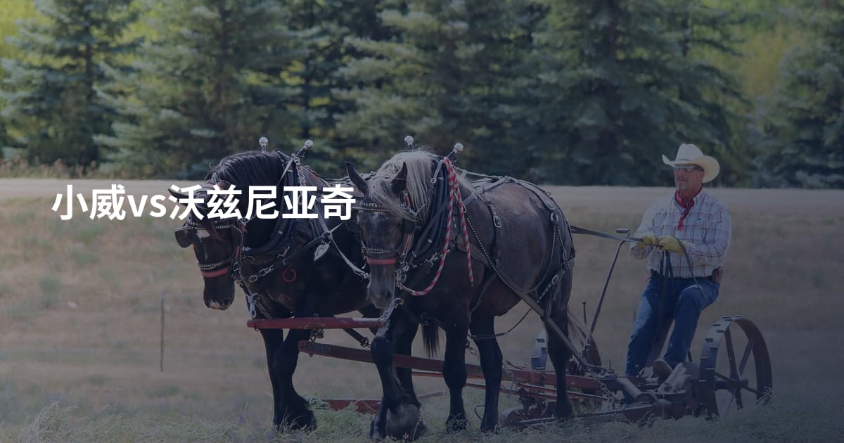 小威vs沃兹尼亚奇
