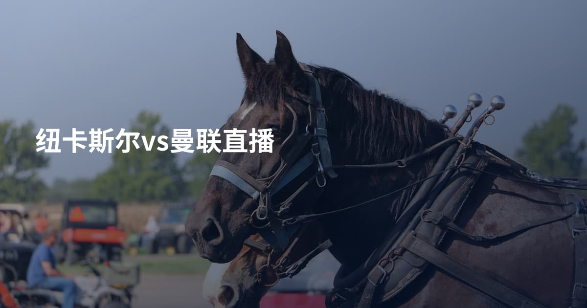 纽卡斯尔vs曼联直播