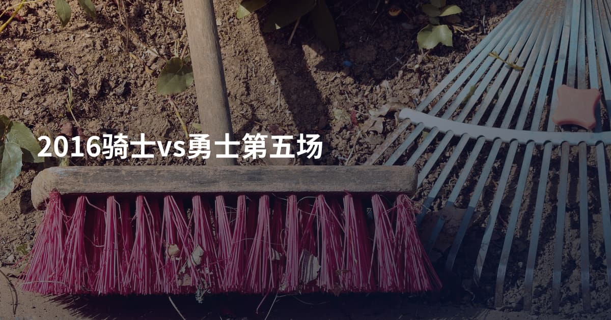 2016骑士vs勇士第五场