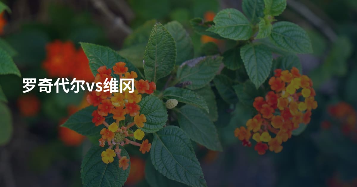 罗奇代尔vs维冈