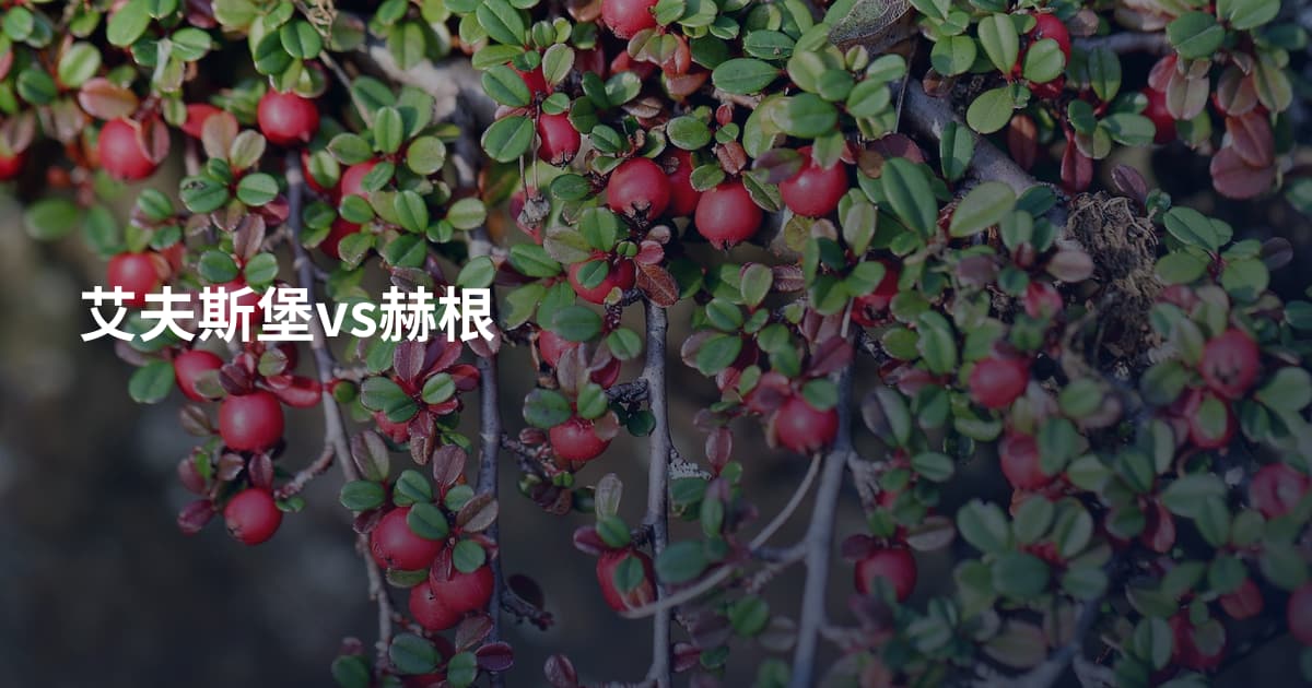 艾夫斯堡vs赫根