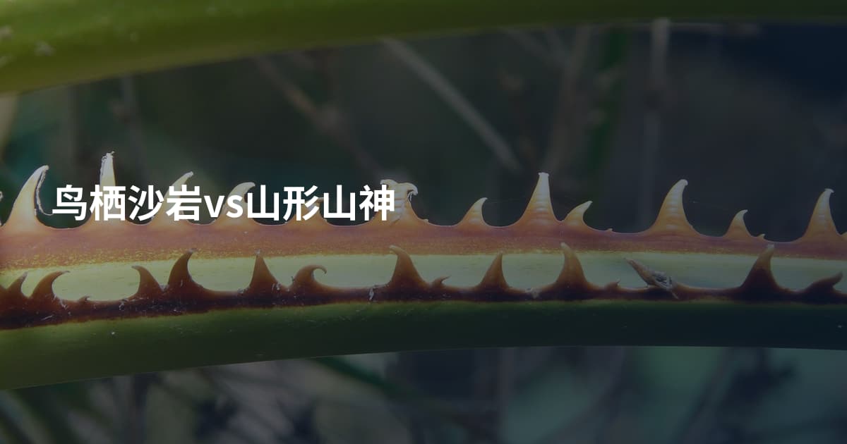 鸟栖沙岩vs山形山神