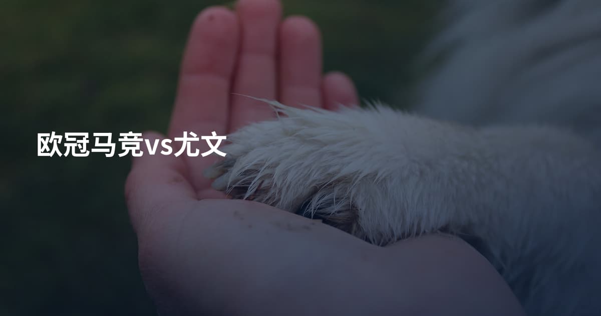 欧冠马竞vs尤文