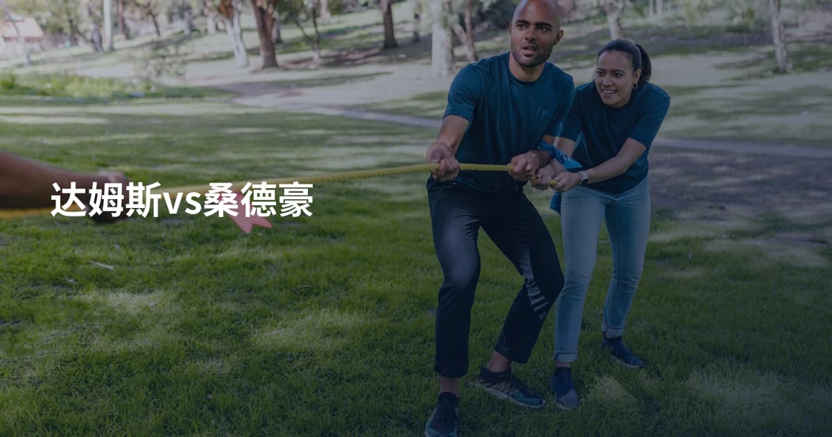 达姆斯vs桑德豪
