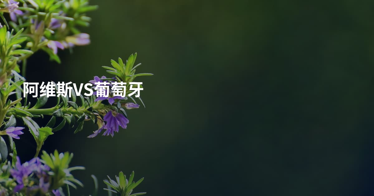 阿维斯VS葡萄牙