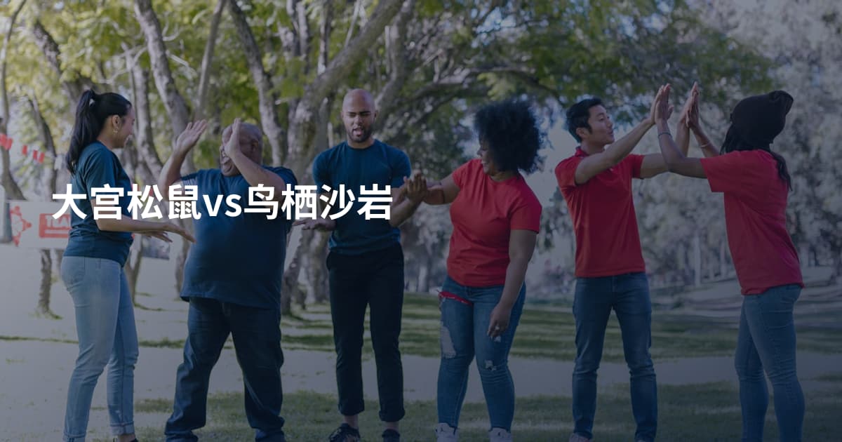 大宫松鼠vs鸟栖沙岩