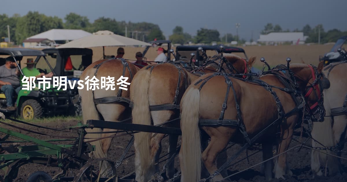 邹市明vs徐晓冬
