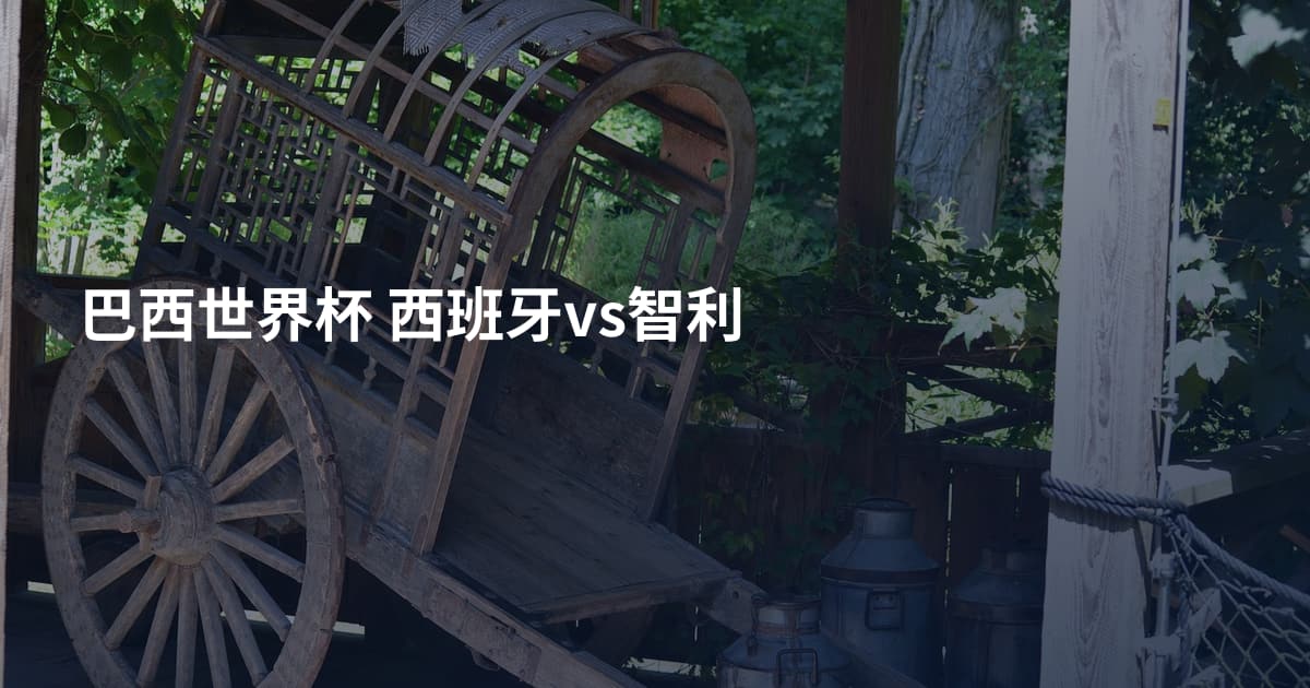 巴西世界杯 西班牙vs智利