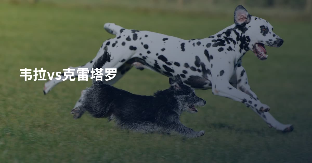 韦拉vs克雷塔罗