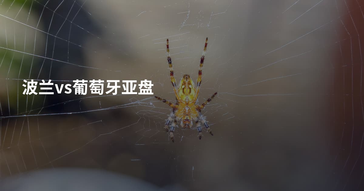 波兰vs葡萄牙亚盘