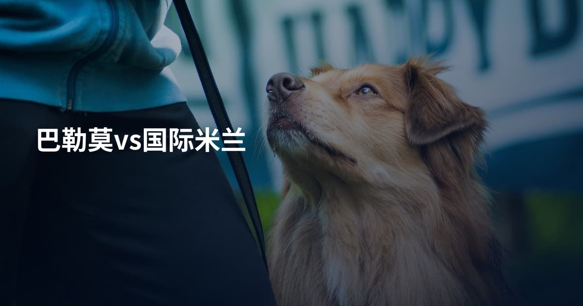 巴勒莫vs国际米兰