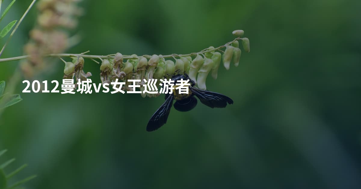 2012曼城vs女王巡游者