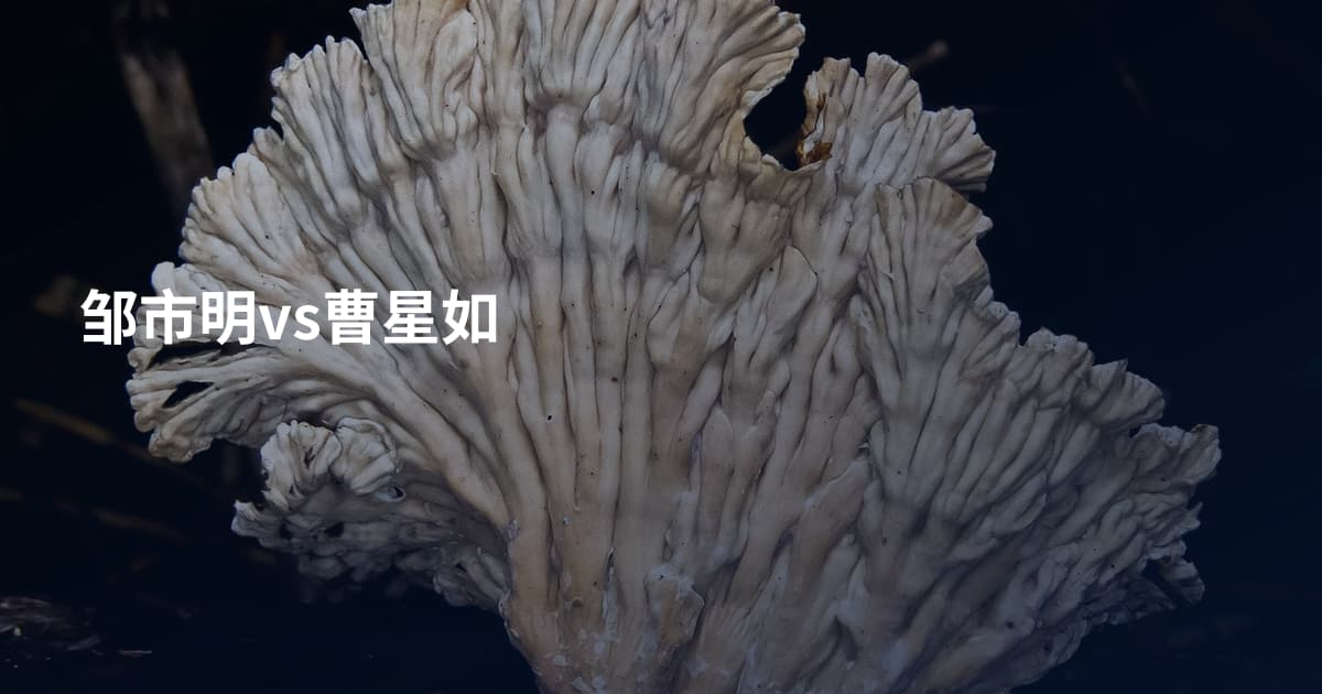 邹市明vs曹星如