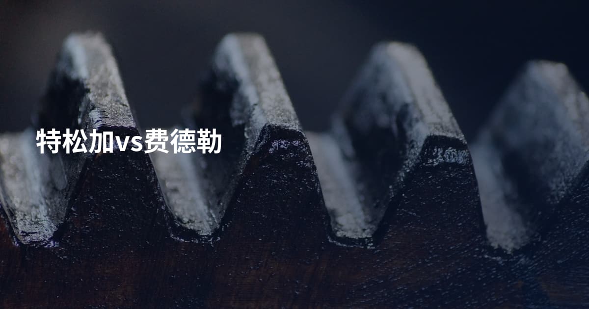 特松加vs费德勒