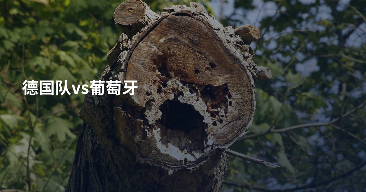 德国队vs葡萄牙
