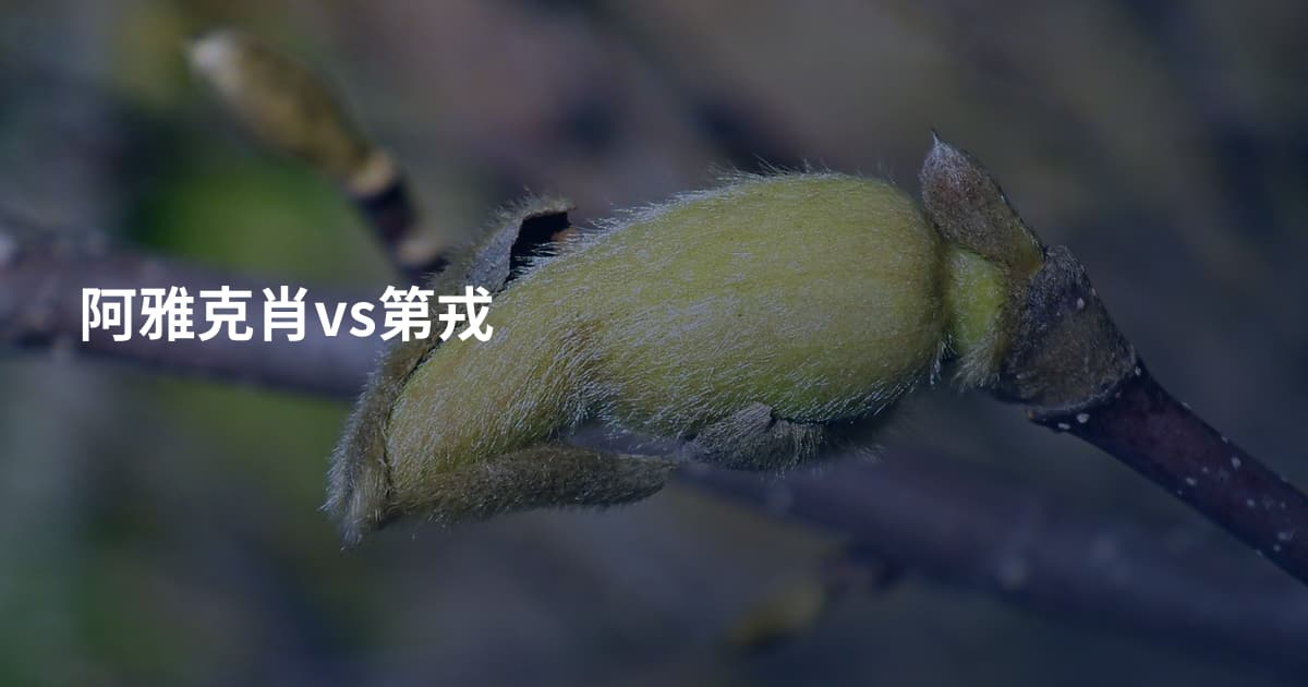 阿雅克肖vs第戎