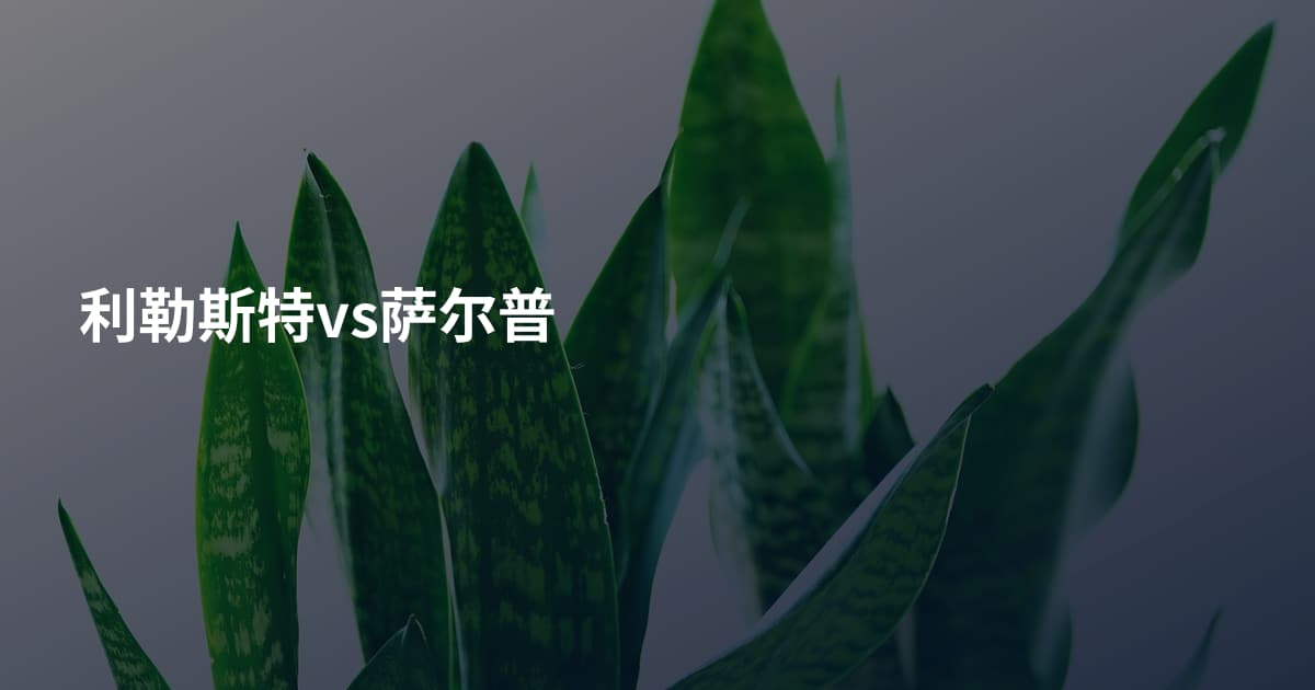 利勒斯特vs萨尔普