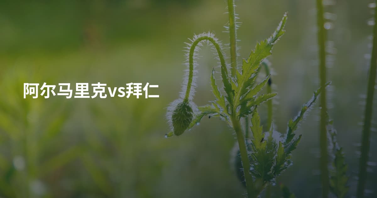 阿尔马里克vs拜仁