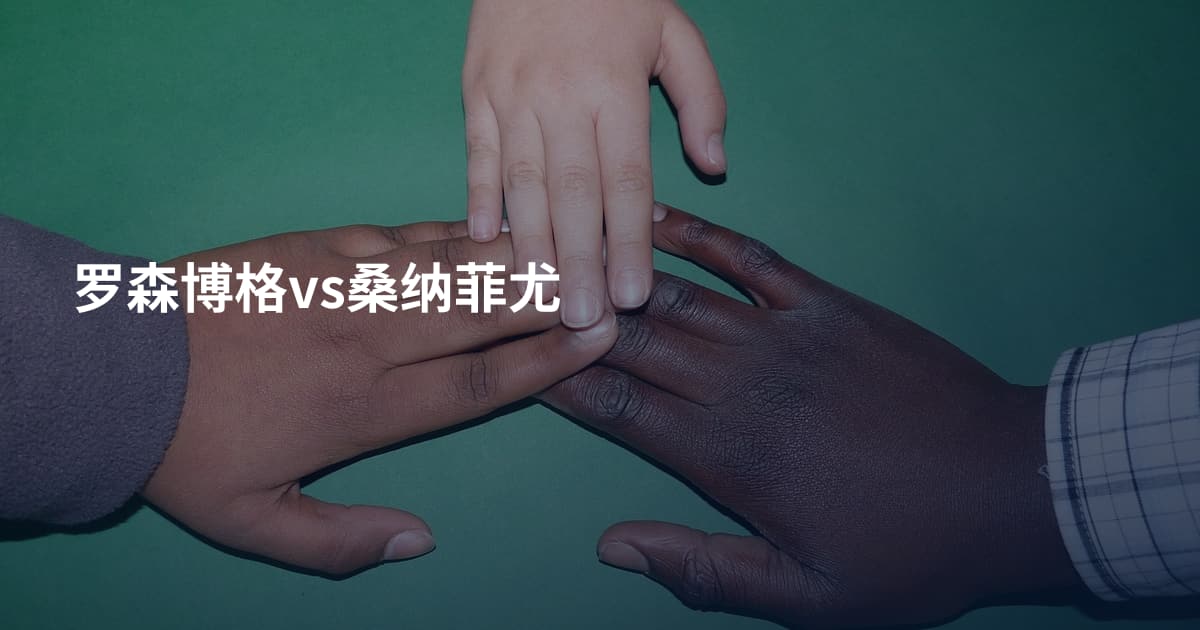 罗森博格vs桑纳菲尤