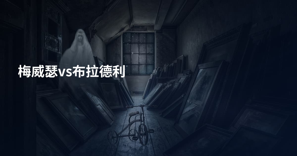 梅威瑟vs布拉德利