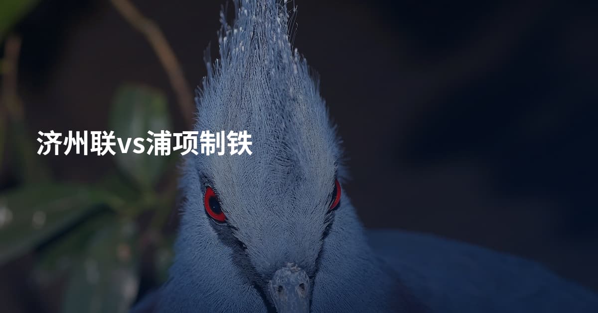 济州联vs浦项制铁