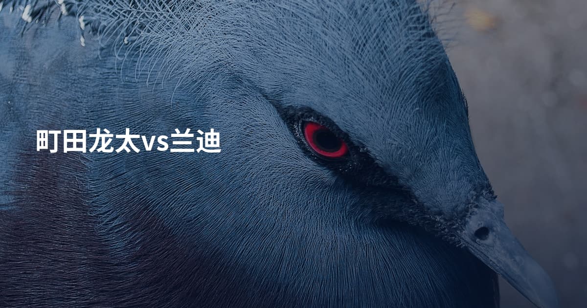 町田龙太vs兰迪