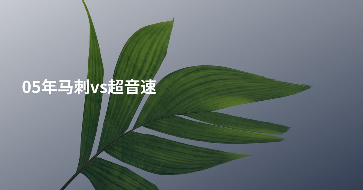 05年马刺vs超音速