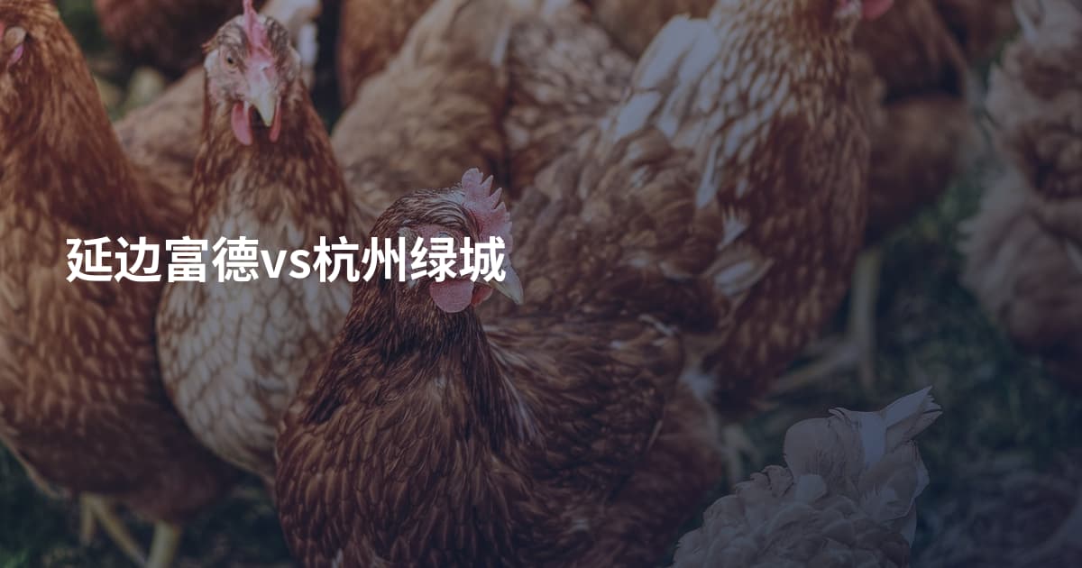 延边富德vs杭州绿城