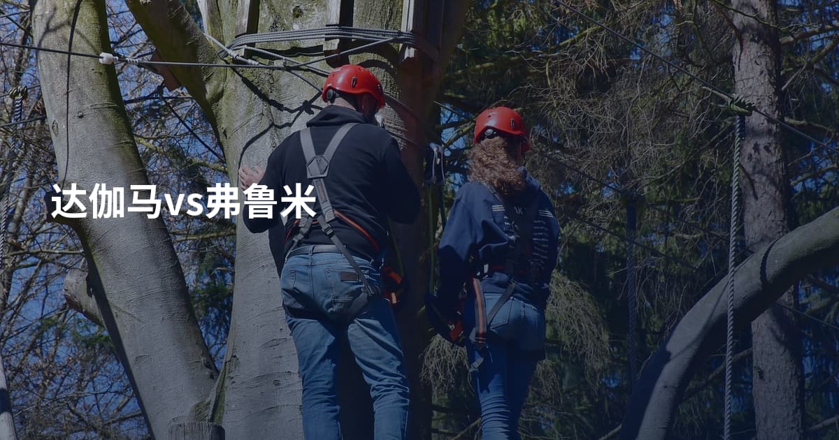 达伽马vs弗鲁米