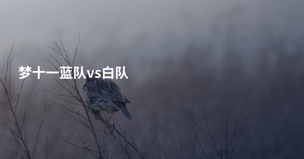 梦十一蓝队vs白队