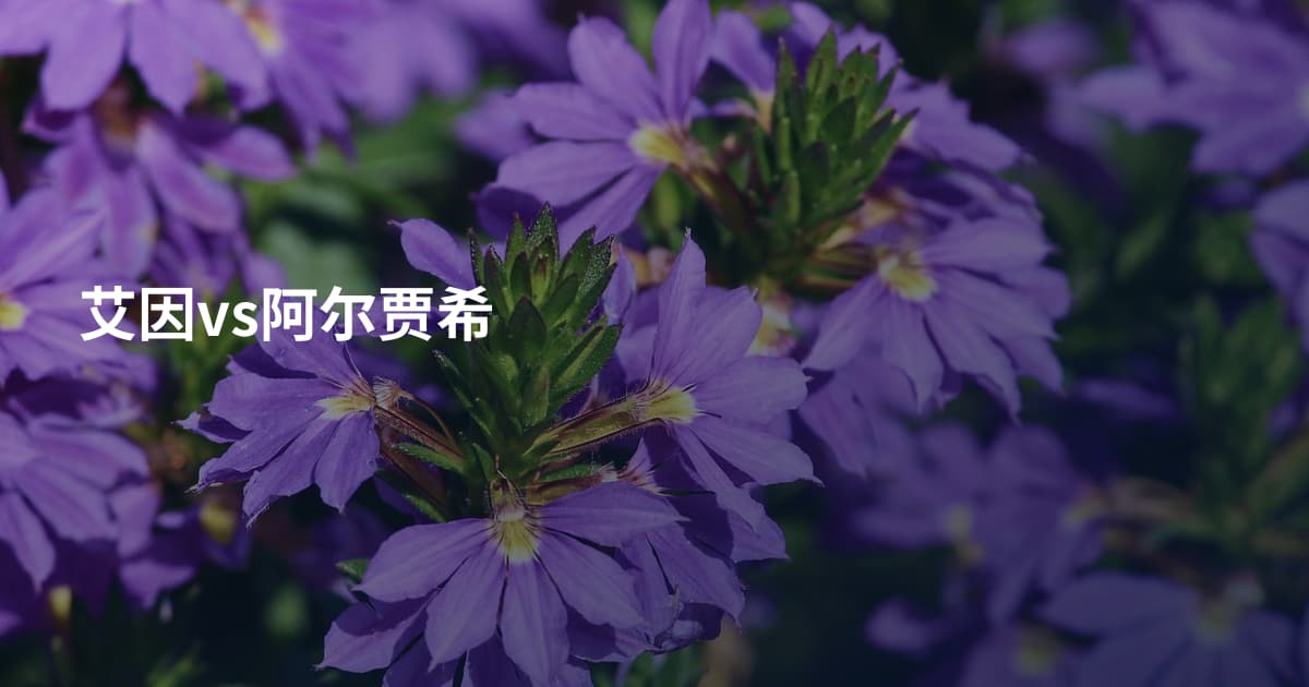艾因vs阿尔贾希