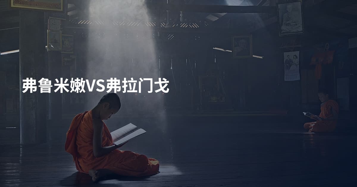 弗鲁米嫩VS弗拉门戈