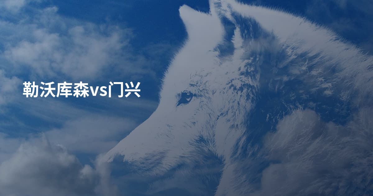 勒沃库森vs门兴