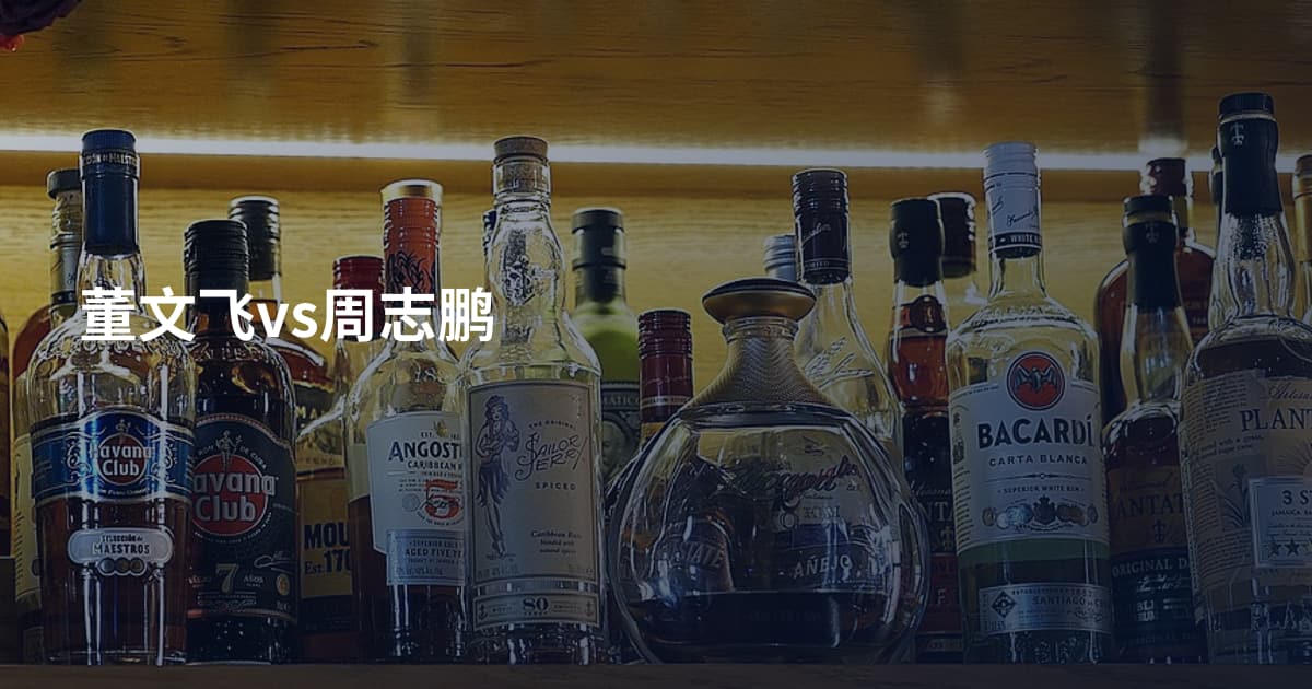 董文飞vs周志鹏