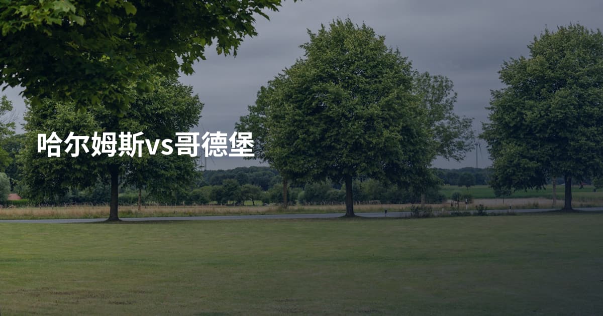 哈尔姆斯vs哥德堡