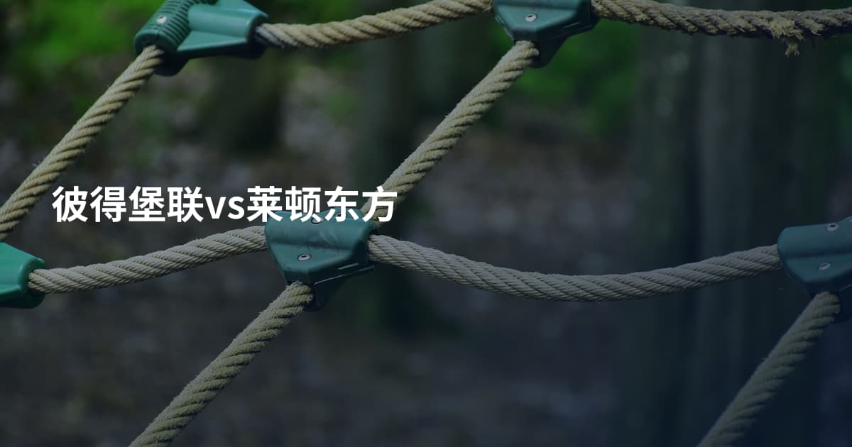 彼得堡联vs莱顿东方