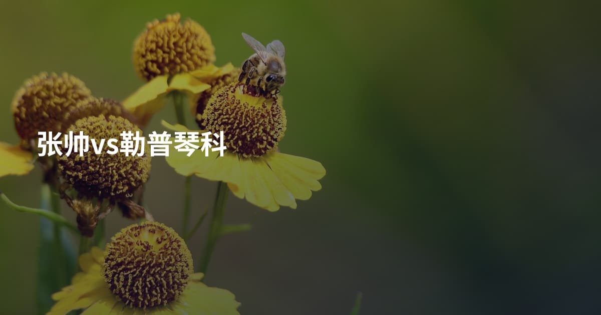 张帅vs勒普琴科