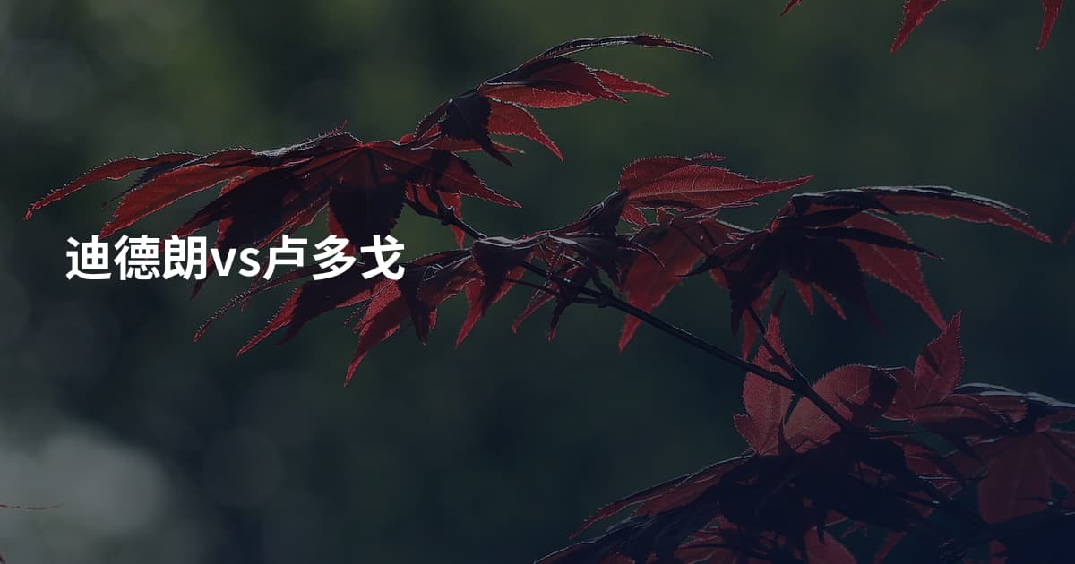迪德朗vs卢多戈