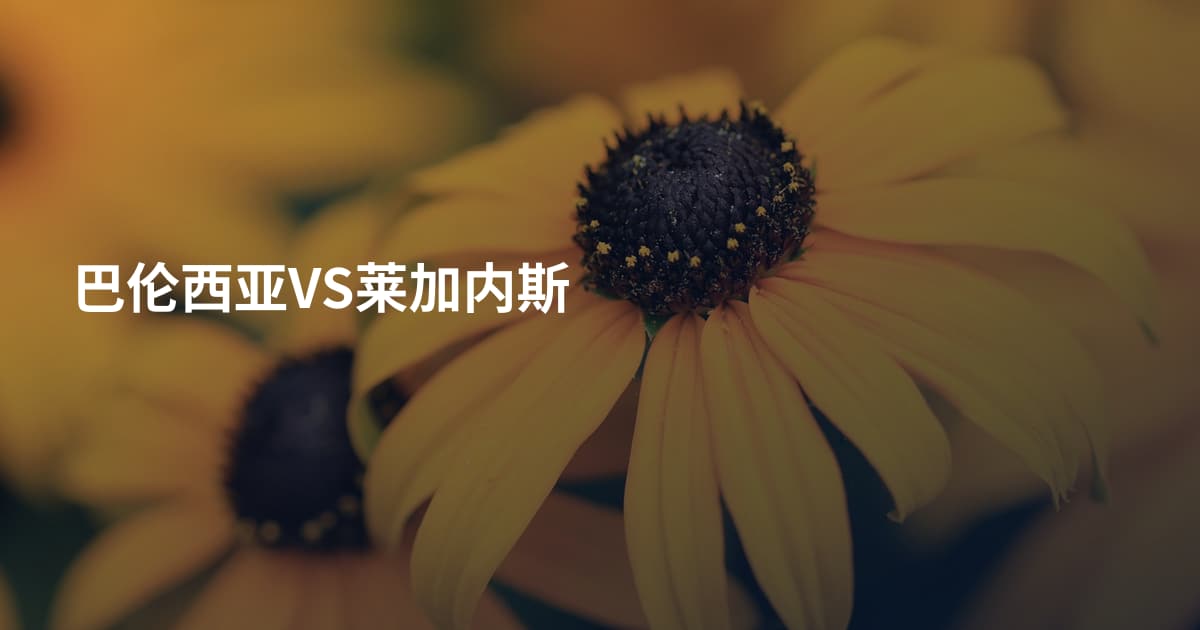 巴伦西亚VS莱加内斯