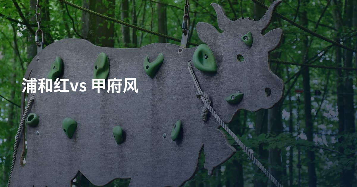 浦和红vs 甲府风
