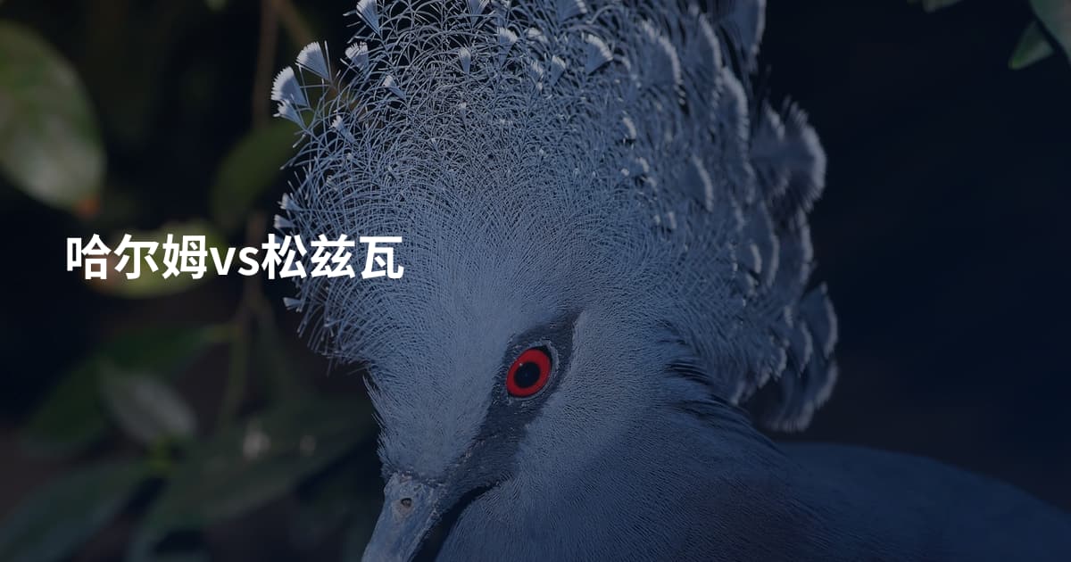哈尔姆vs松兹瓦