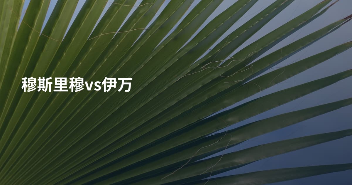 穆斯里穆vs伊万