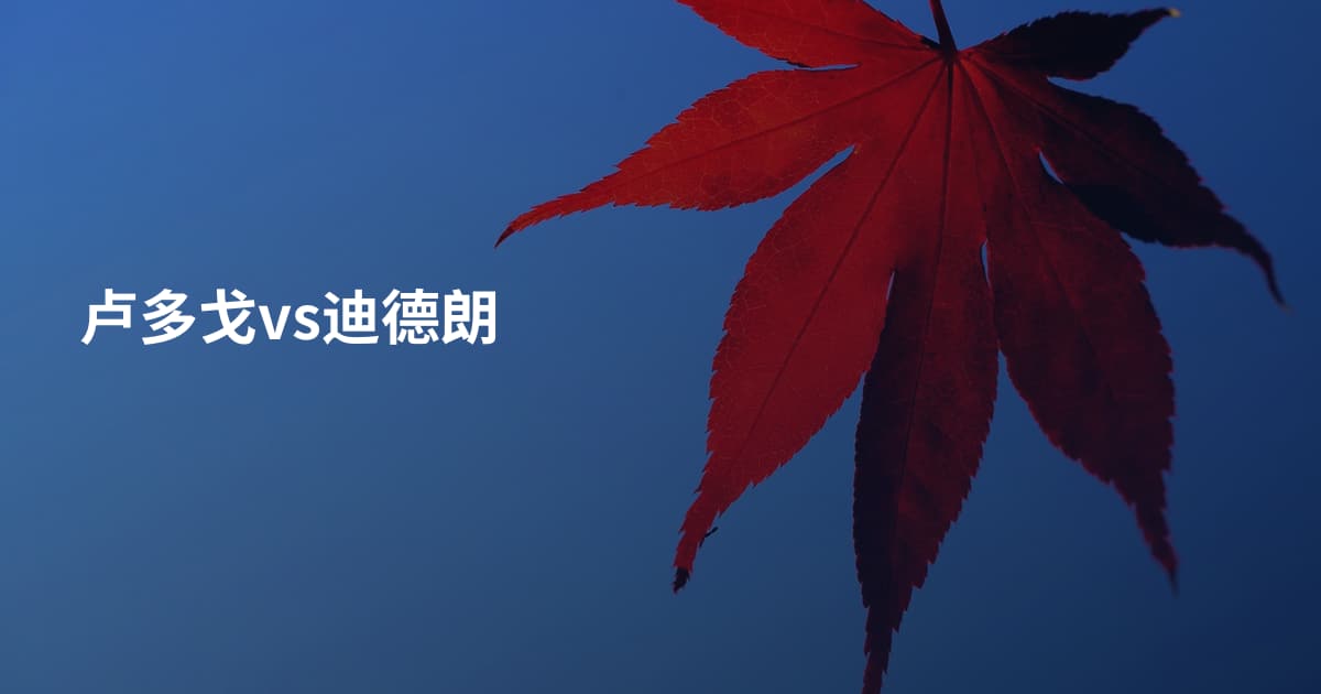卢多戈vs迪德朗
