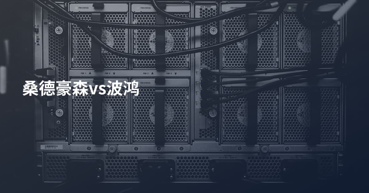 桑德豪森vs波鸿