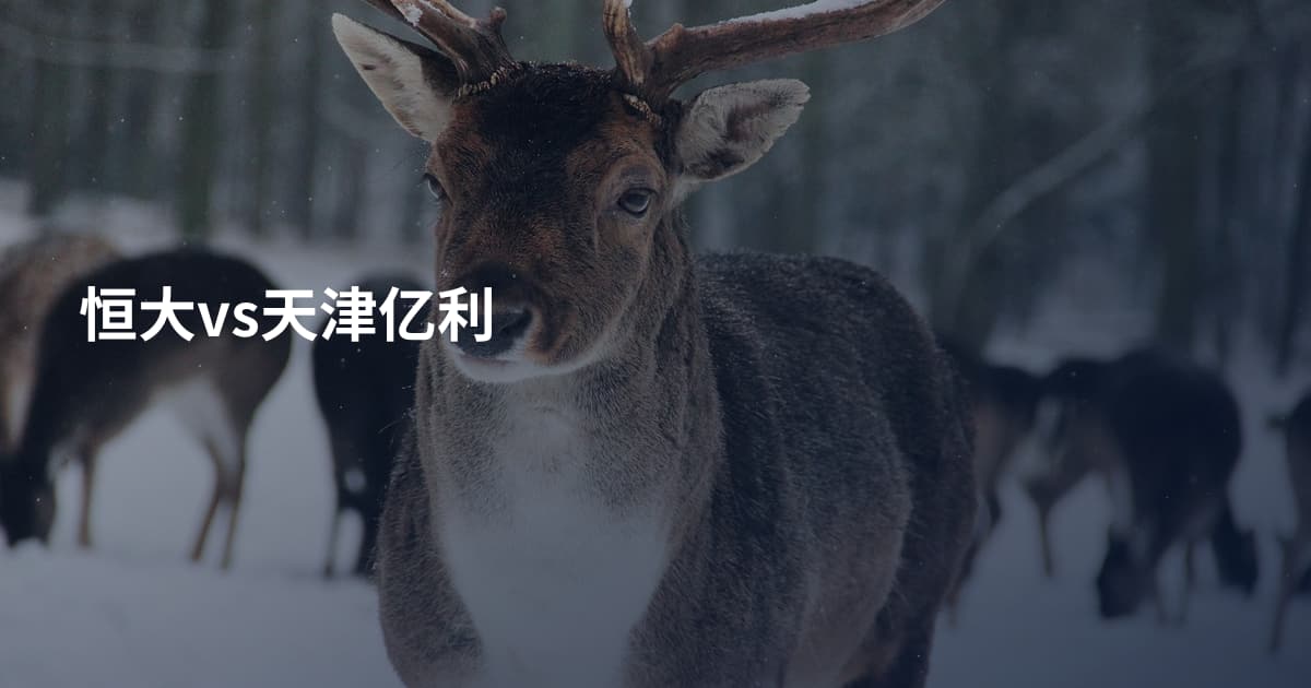 恒大vs天津亿利