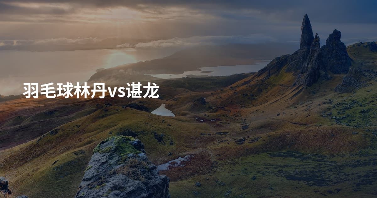 羽毛球林丹vs谌龙