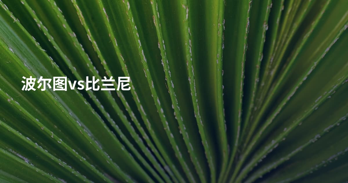 波尔图vs比兰尼