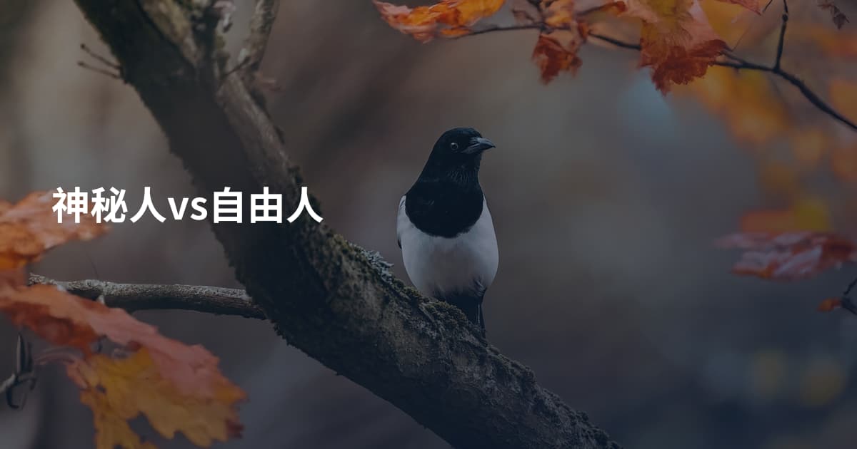 神秘人vs自由人