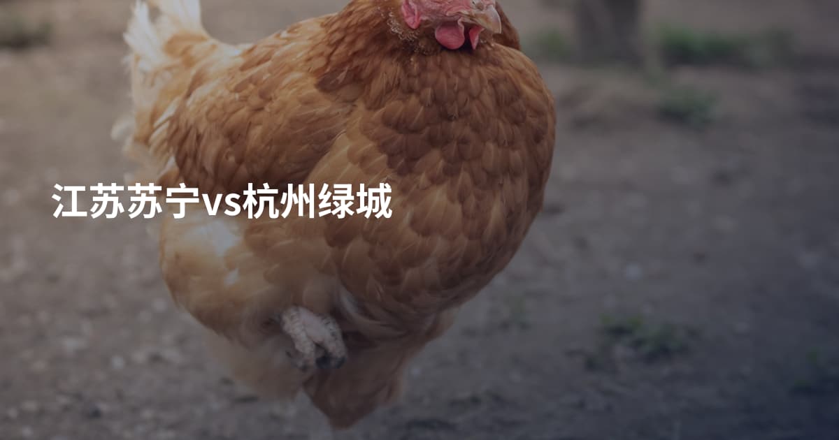 江苏苏宁vs杭州绿城